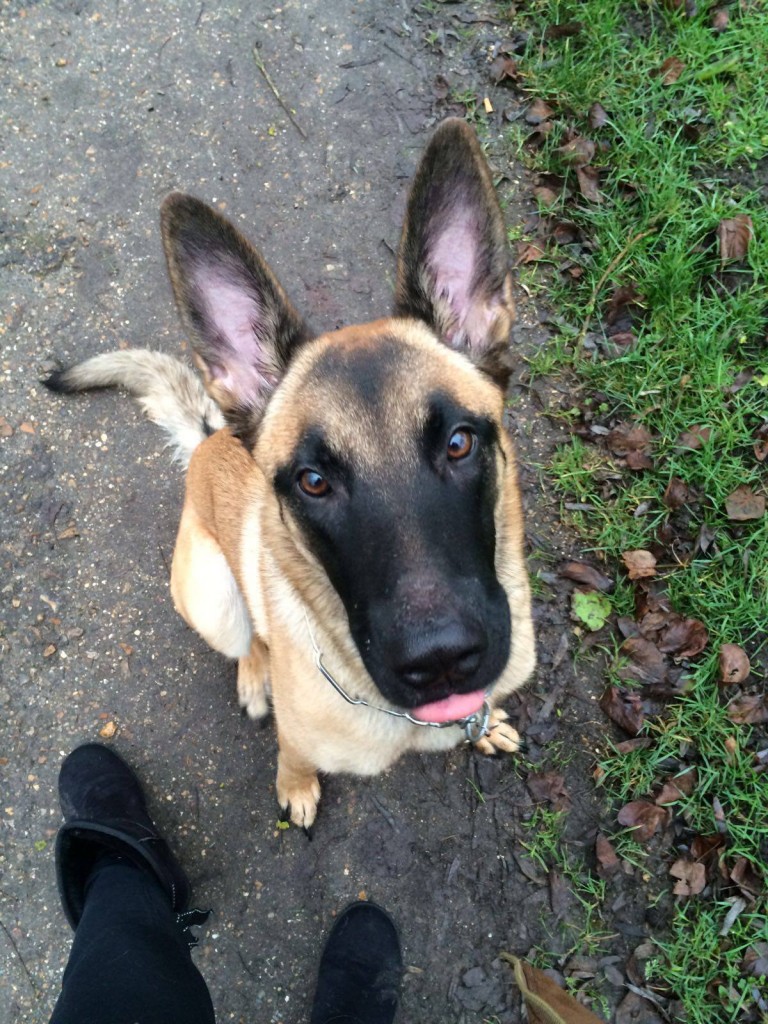 12637023_1049396241791518_549155121_o